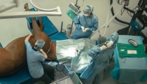 dubai-equine-hospital-59-of-71_resize